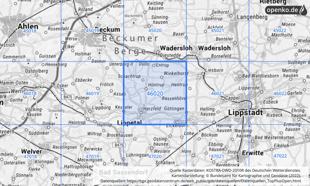 Übersichtskarte KOSTRA-DWD-2010R Rasterfeld Nr. 46020 mit angrenzenden Feldern