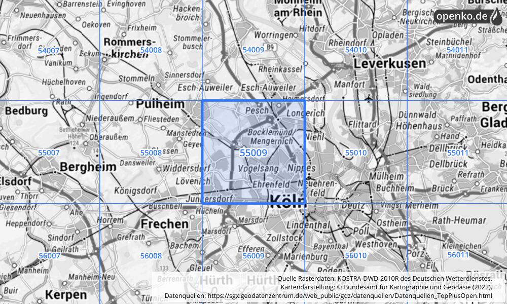 Übersichtskarte KOSTRA-DWD-2010R Rasterfeld Nr. 55009 mit angrenzenden Feldern