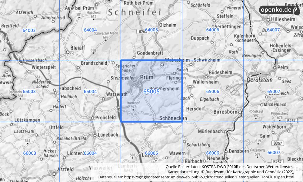 Übersichtskarte KOSTRA-DWD-2010R Rasterfeld Nr. 65005 mit angrenzenden Feldern