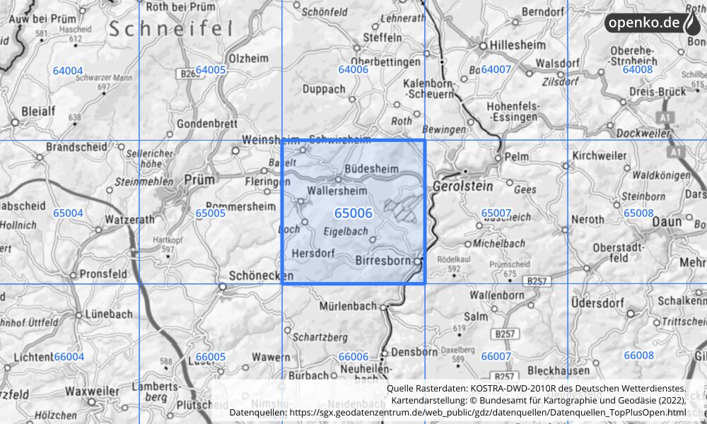 Übersichtskarte KOSTRA-DWD-2010R Rasterfeld Nr. 65006 mit angrenzenden Feldern