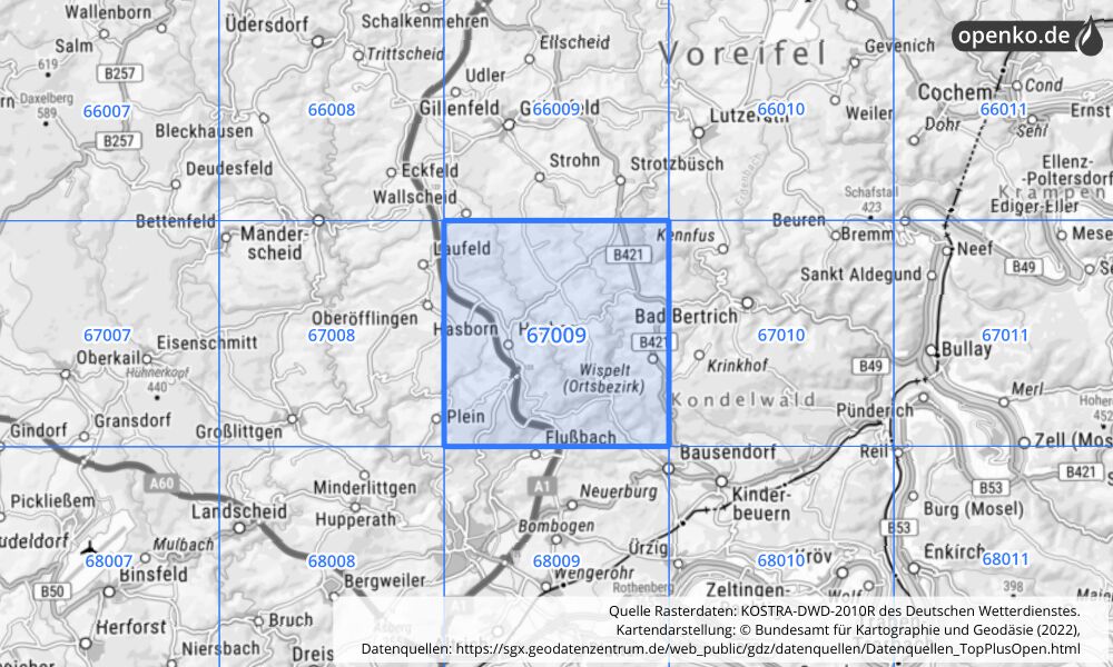 Übersichtskarte KOSTRA-DWD-2010R Rasterfeld Nr. 67009 mit angrenzenden Feldern