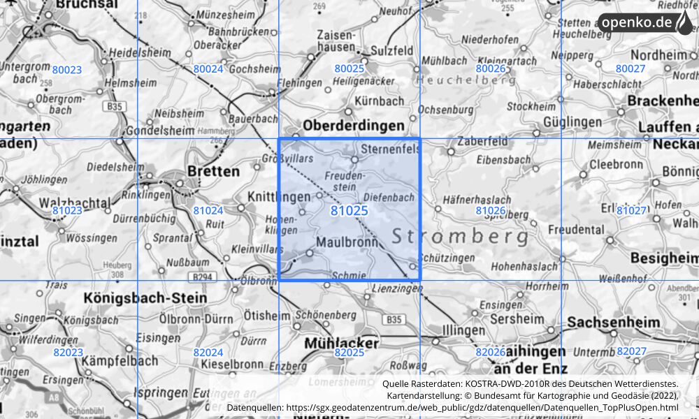 Übersichtskarte KOSTRA-DWD-2010R Rasterfeld Nr. 81025 mit angrenzenden Feldern