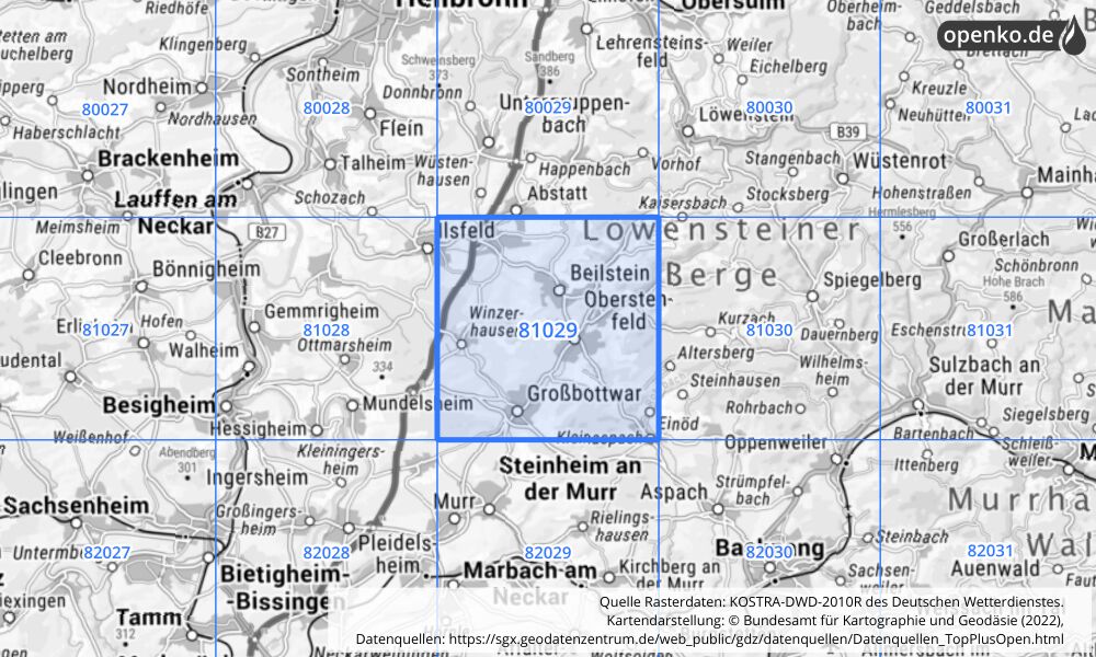 Übersichtskarte KOSTRA-DWD-2010R Rasterfeld Nr. 81029 mit angrenzenden Feldern