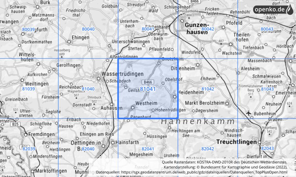 Übersichtskarte KOSTRA-DWD-2010R Rasterfeld Nr. 81041 mit angrenzenden Feldern