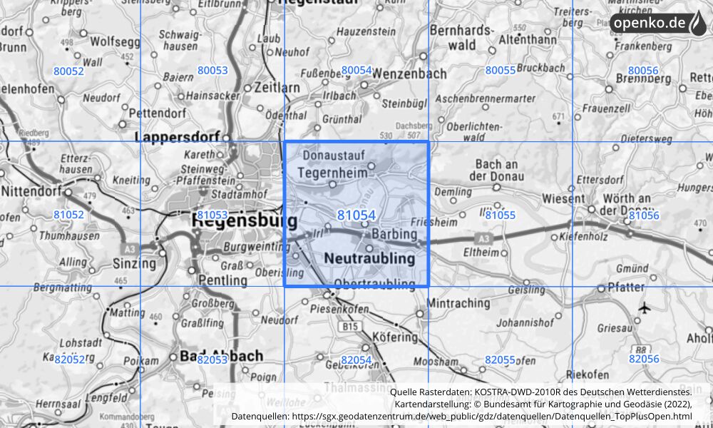 Übersichtskarte KOSTRA-DWD-2010R Rasterfeld Nr. 81054 mit angrenzenden Feldern