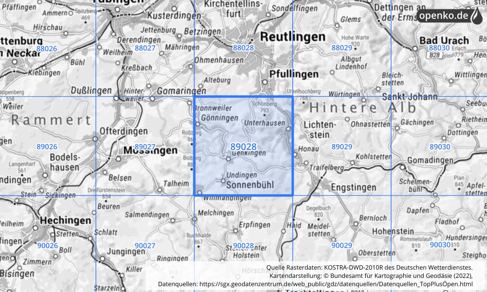 Übersichtskarte KOSTRA-DWD-2010R Rasterfeld Nr. 89028 mit angrenzenden Feldern