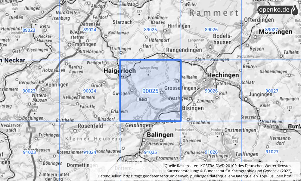 Übersichtskarte KOSTRA-DWD-2010R Rasterfeld Nr. 90025 mit angrenzenden Feldern