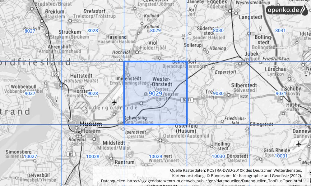 Übersichtskarte KOSTRA-DWD-2010R Rasterfeld Nr. 9029 mit angrenzenden Feldern