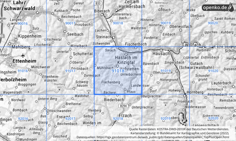 Übersichtskarte KOSTRA-DWD-2010R Rasterfeld Nr. 91018 mit angrenzenden Feldern