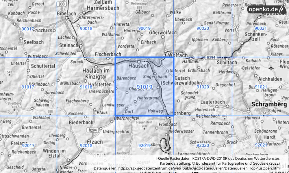 Übersichtskarte KOSTRA-DWD-2010R Rasterfeld Nr. 91019 mit angrenzenden Feldern