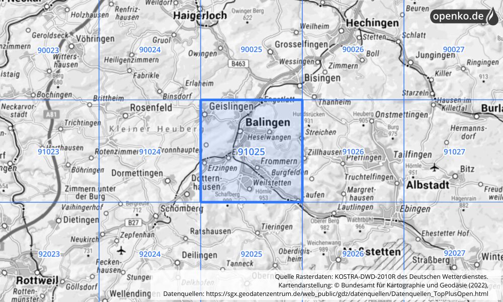 Übersichtskarte KOSTRA-DWD-2010R Rasterfeld Nr. 91025 mit angrenzenden Feldern