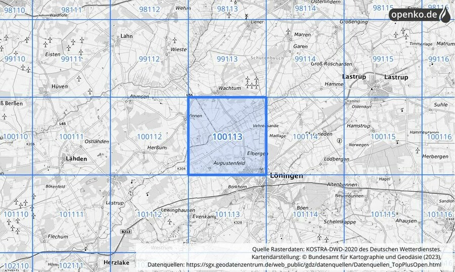 Übersichtskarte des KOSTRA-DWD-2020-Rasterfeldes Nr. 100113