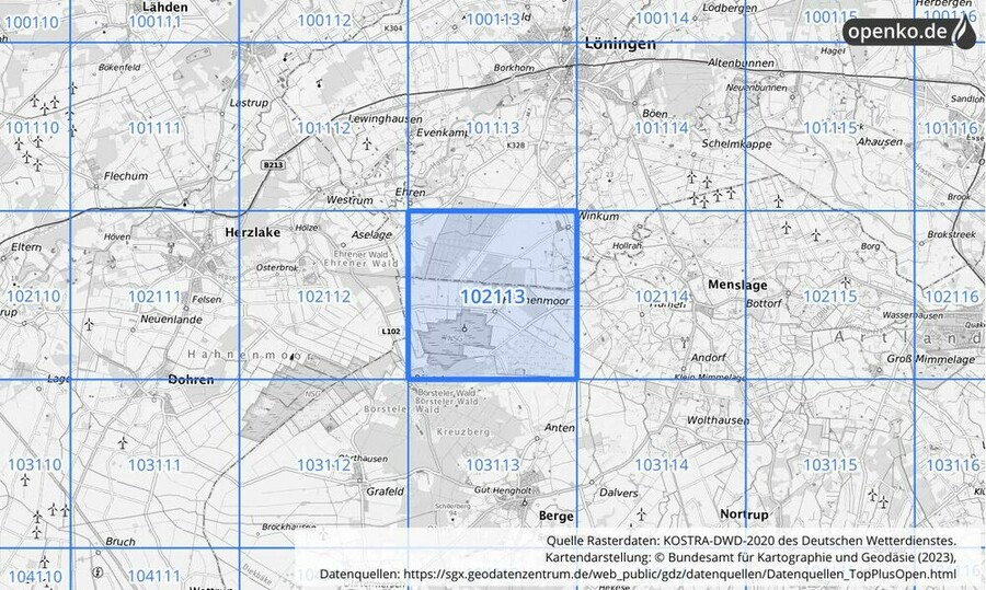 Übersichtskarte des KOSTRA-DWD-2020-Rasterfeldes Nr. 102113