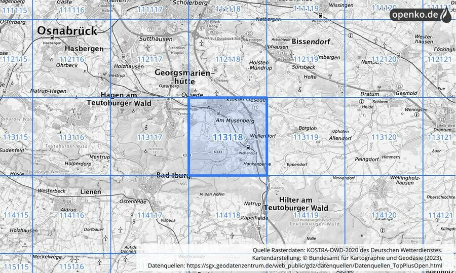 Übersichtskarte des KOSTRA-DWD-2020-Rasterfeldes Nr. 113118