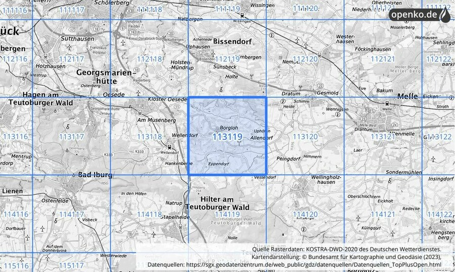 Übersichtskarte des KOSTRA-DWD-2020-Rasterfeldes Nr. 113119