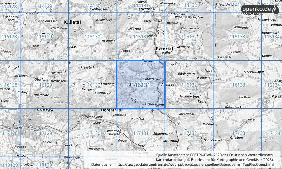 Übersichtskarte des KOSTRA-DWD-2020-Rasterfeldes Nr. 116131