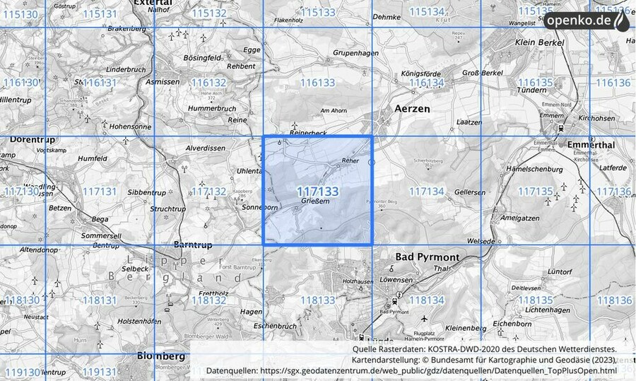 Übersichtskarte des KOSTRA-DWD-2020-Rasterfeldes Nr. 117133