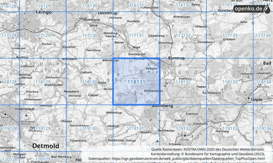 Übersichtskarte des KOSTRA-DWD-2020-Rasterfeldes Nr. 118131