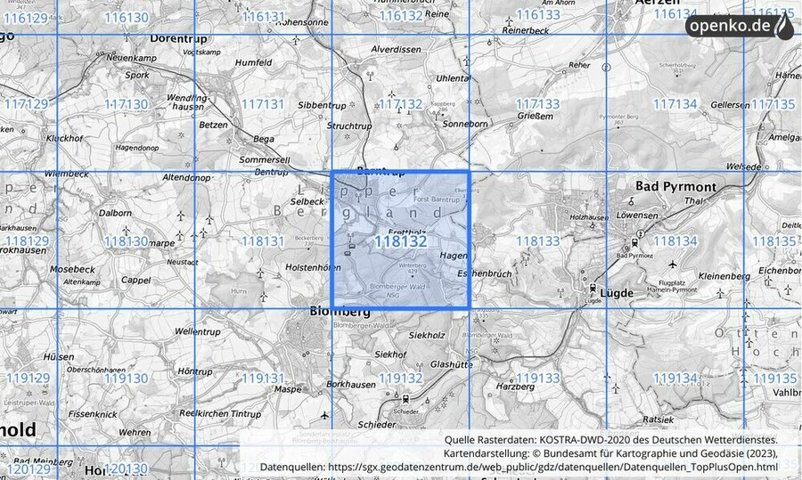 Übersichtskarte des KOSTRA-DWD-2020-Rasterfeldes Nr. 118132