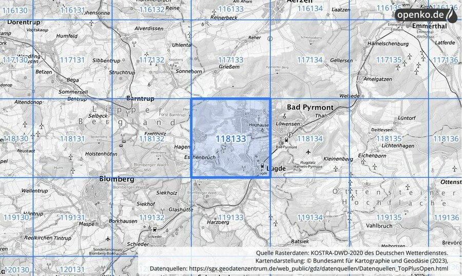 Übersichtskarte des KOSTRA-DWD-2020-Rasterfeldes Nr. 118133