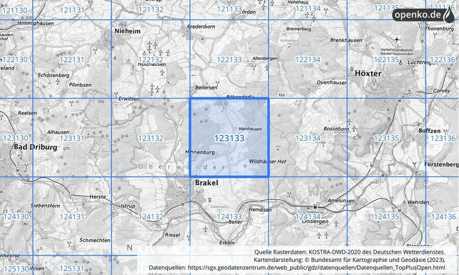 Übersichtskarte des KOSTRA-DWD-2020-Rasterfeldes Nr. 123133