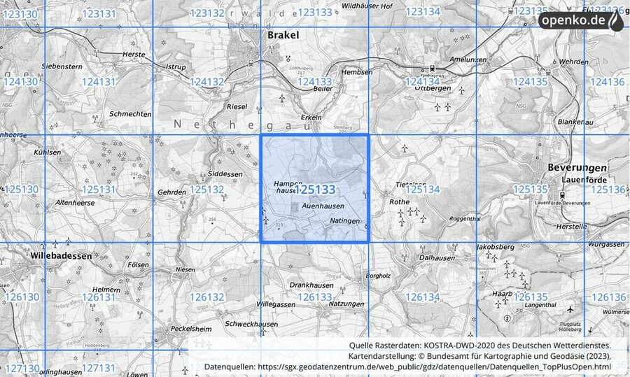 Übersichtskarte des KOSTRA-DWD-2020-Rasterfeldes Nr. 125133