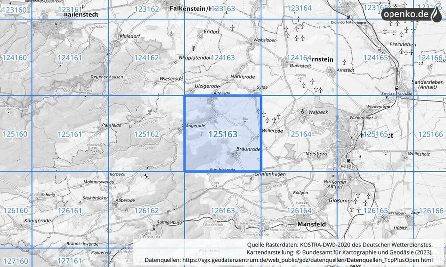 Übersichtskarte des KOSTRA-DWD-2020-Rasterfeldes Nr. 125163