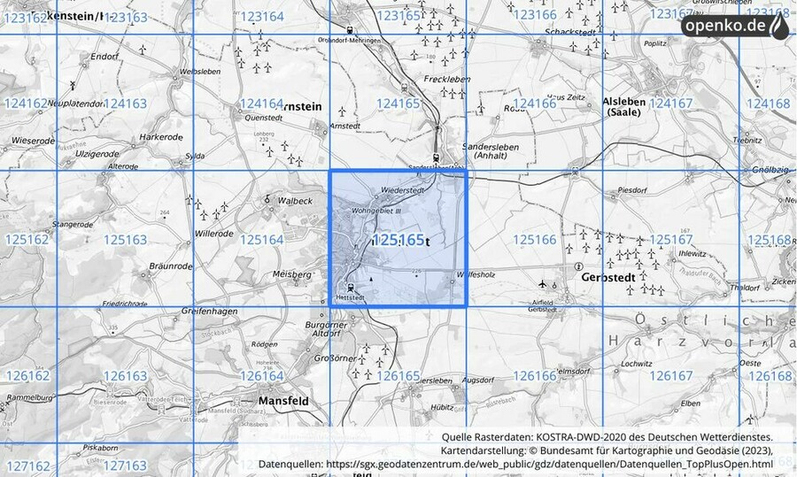 Übersichtskarte des KOSTRA-DWD-2020-Rasterfeldes Nr. 125165