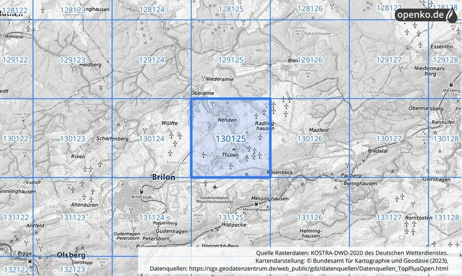 Übersichtskarte des KOSTRA-DWD-2020-Rasterfeldes Nr. 130125