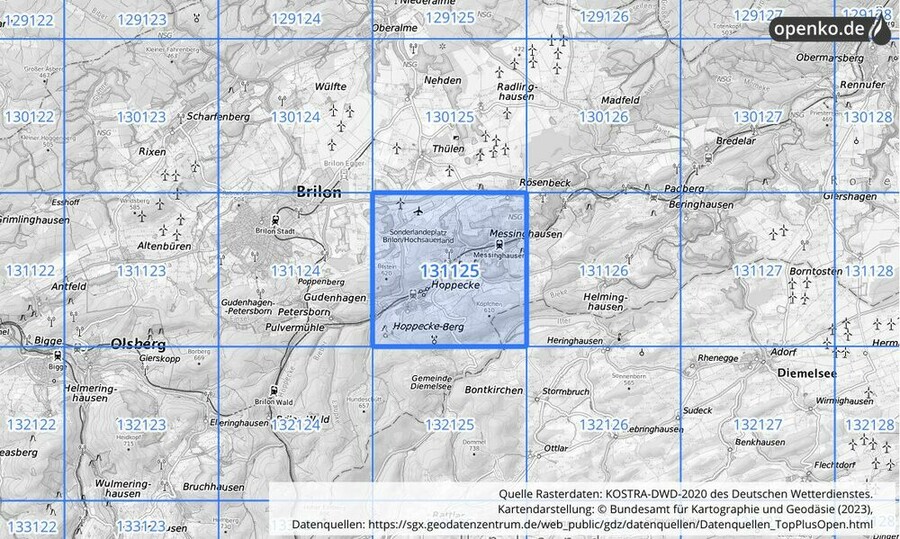 Übersichtskarte des KOSTRA-DWD-2020-Rasterfeldes Nr. 131125