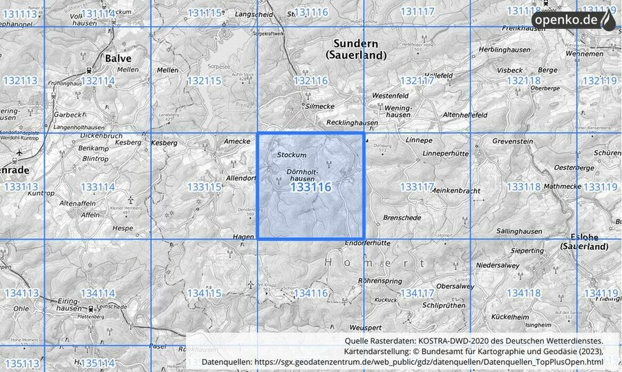 Übersichtskarte des KOSTRA-DWD-2020-Rasterfeldes Nr. 133116