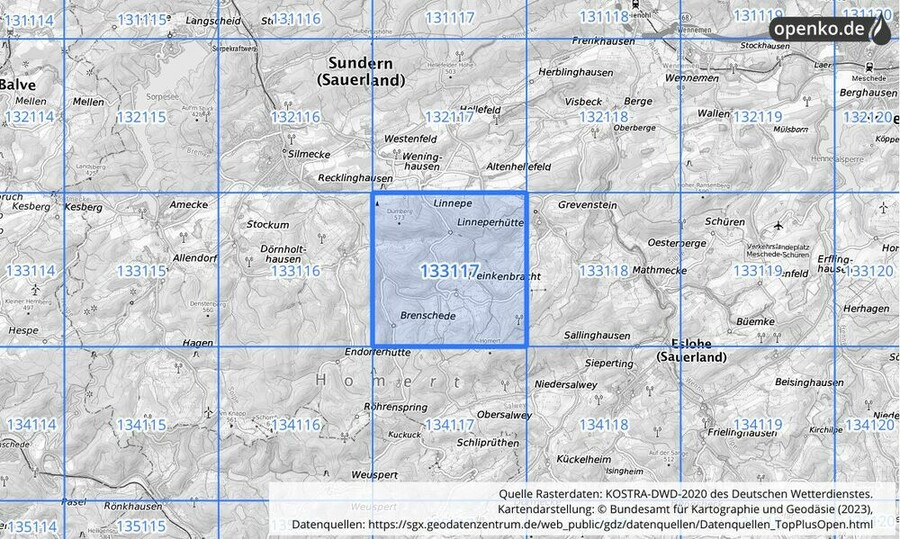 Übersichtskarte des KOSTRA-DWD-2020-Rasterfeldes Nr. 133117