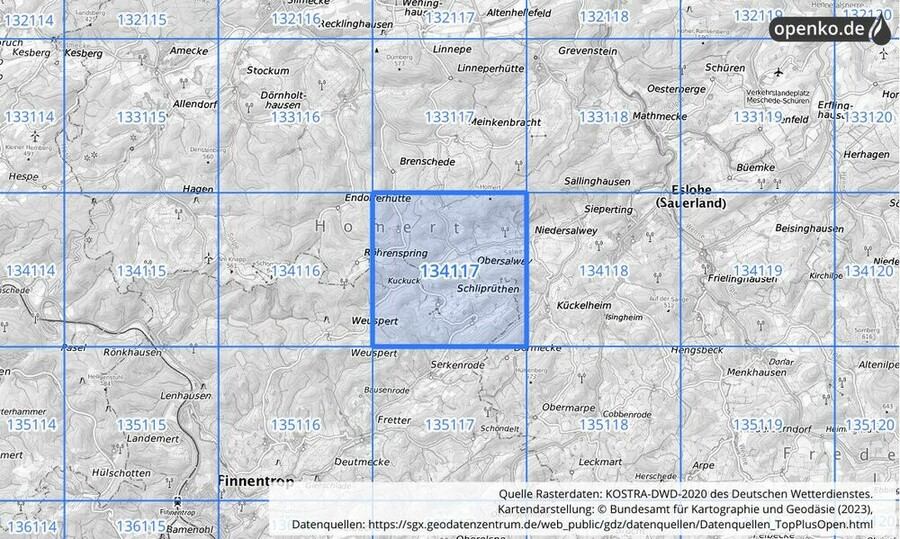 Übersichtskarte des KOSTRA-DWD-2020-Rasterfeldes Nr. 134117