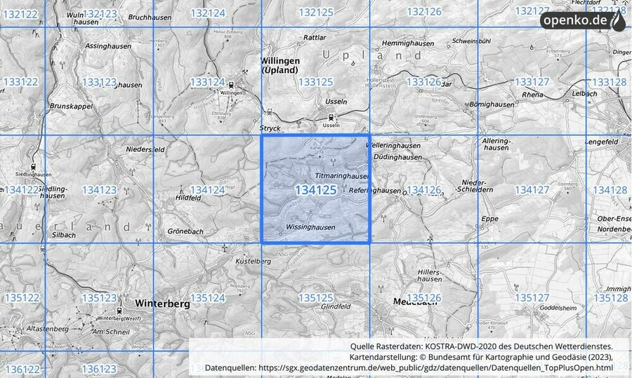 Übersichtskarte des KOSTRA-DWD-2020-Rasterfeldes Nr. 134125