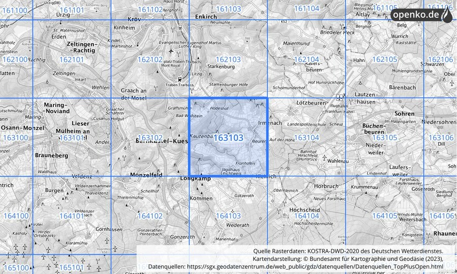 Übersichtskarte des KOSTRA-DWD-2020-Rasterfeldes Nr. 163103