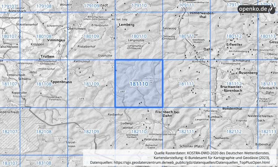 Übersichtskarte des KOSTRA-DWD-2020-Rasterfeldes Nr. 181110