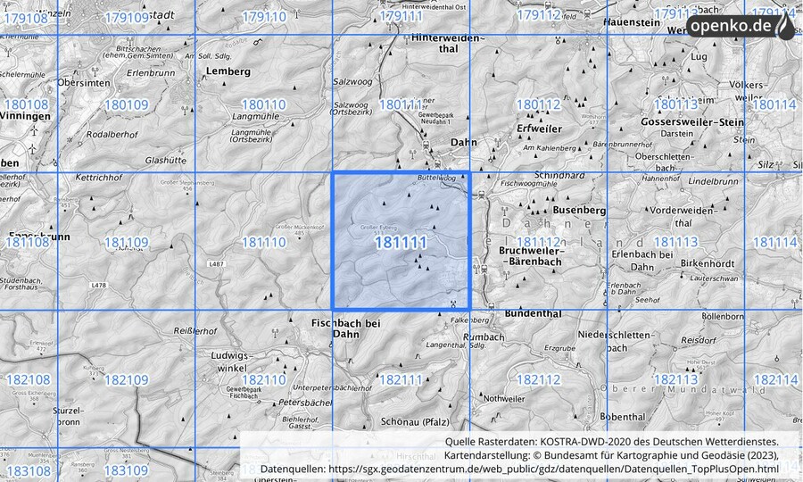 Übersichtskarte des KOSTRA-DWD-2020-Rasterfeldes Nr. 181111