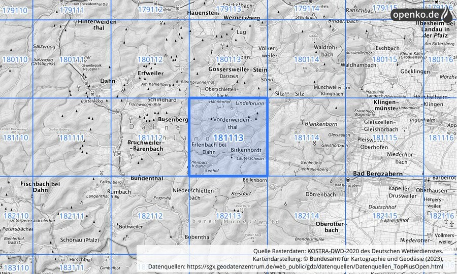 Übersichtskarte des KOSTRA-DWD-2020-Rasterfeldes Nr. 181113