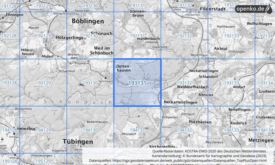 Übersichtskarte des KOSTRA-DWD-2020-Rasterfeldes Nr. 193131