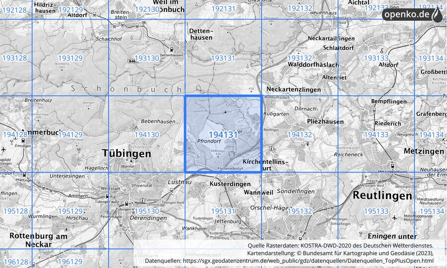 Übersichtskarte des KOSTRA-DWD-2020-Rasterfeldes Nr. 194131