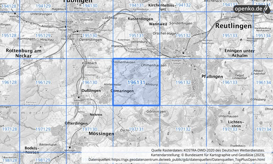 Übersichtskarte des KOSTRA-DWD-2020-Rasterfeldes Nr. 196131