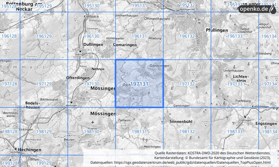 Übersichtskarte des KOSTRA-DWD-2020-Rasterfeldes Nr. 197131