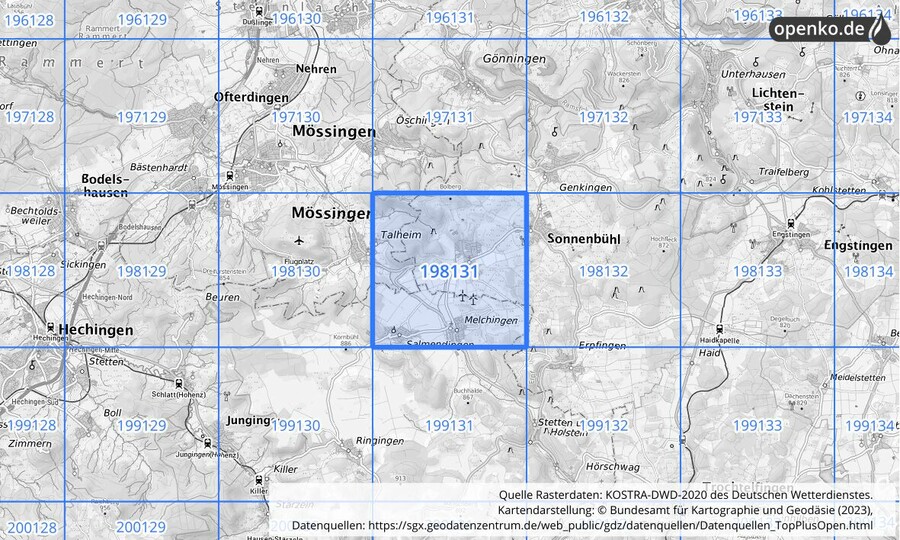 Übersichtskarte des KOSTRA-DWD-2020-Rasterfeldes Nr. 198131