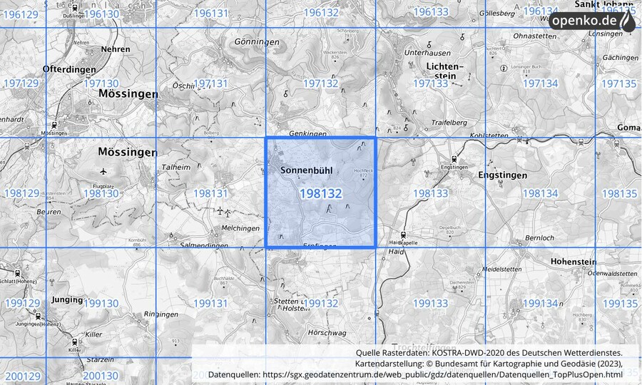 Übersichtskarte des KOSTRA-DWD-2020-Rasterfeldes Nr. 198132