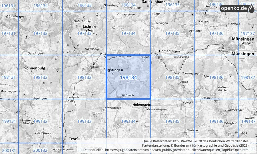 Übersichtskarte des KOSTRA-DWD-2020-Rasterfeldes Nr. 198134