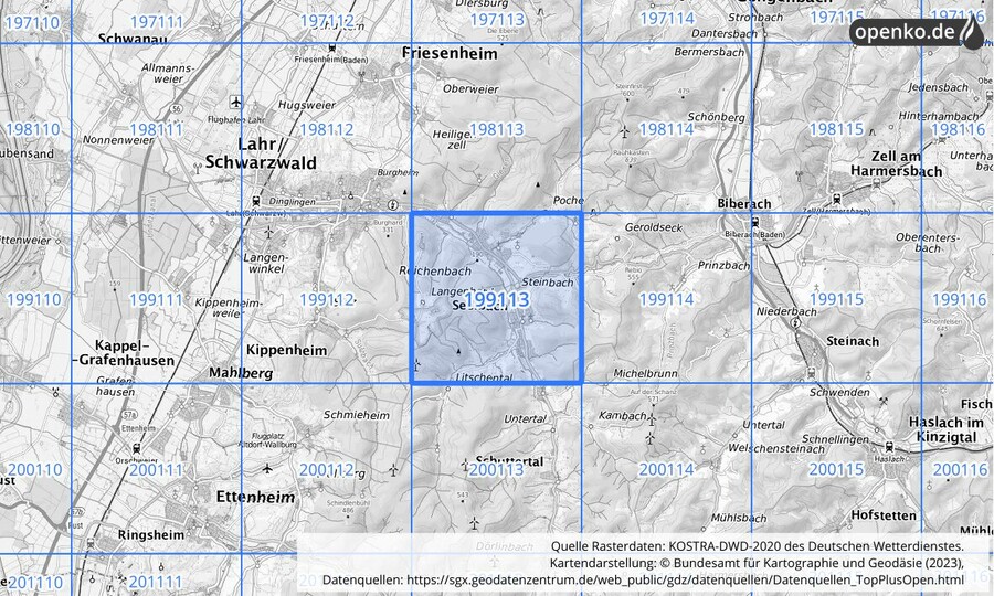 Übersichtskarte des KOSTRA-DWD-2020-Rasterfeldes Nr. 199113