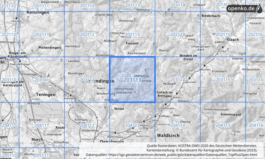 Übersichtskarte des KOSTRA-DWD-2020-Rasterfeldes Nr. 203113