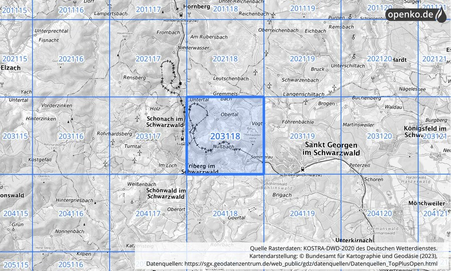 Übersichtskarte des KOSTRA-DWD-2020-Rasterfeldes Nr. 203118