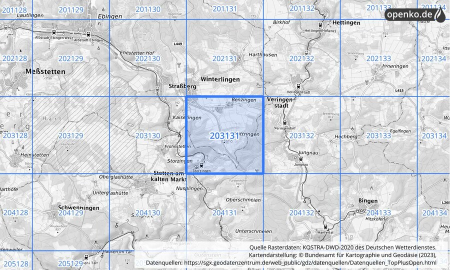 Übersichtskarte des KOSTRA-DWD-2020-Rasterfeldes Nr. 203131