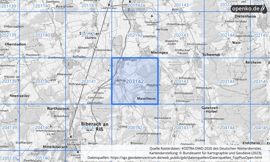 Übersichtskarte des KOSTRA-DWD-2020-Rasterfeldes Nr. 203142
